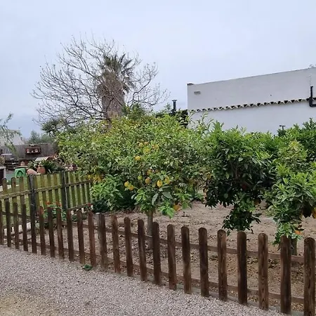 Carme De Nelis Holiday home Deltebre
